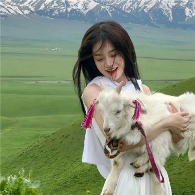 做一只鸟真不容易